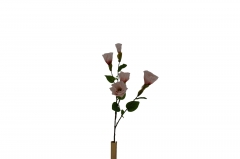 ������� ����� LISIANTHUS SINGLE 70CM PINK