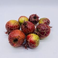 ������ s/8 ����� 6cm ����� ����������� orange/gold