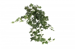 �������� BUSH ������ 110CM �������