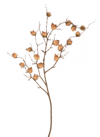 ΤΕΧΝΗΤΟ ΚΛΑΔΙ LANTERN FRUIT 90CM GRAY/BROWN