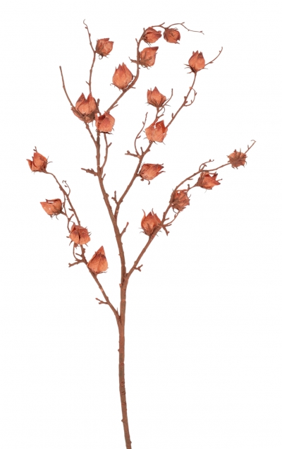 ΤΕΧΝΗΤΟ ΚΛΑΔΙ LANTERN FRUIT 90CM ORANGE/RED