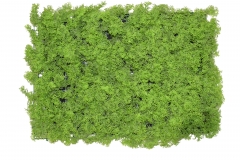 ������� �����(GREEN WALL) 40*60CM FENNEL GRASS LIGHT GREEN