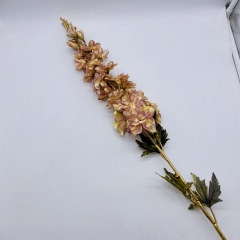 ������� ����� DREAM DELPHINIUM GOLDEN STEM 102CM LIGHT PINK