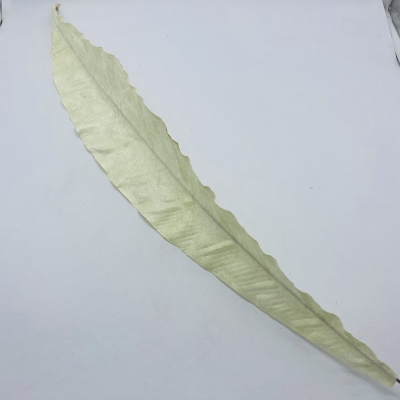 τεχνητο φυλλο big fern velvet 100cm white