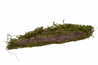 ΚΟΡΜΟΣ/ΦΛΟΙΟΣ 48*10*10CM GREEN