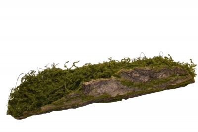 ΚΟΡΜΟΣ/ΦΛΟΙΟΣ 90*20*15CM GREEN