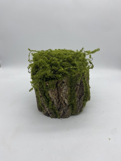 ΚΟΡΜΟΣ/ΦΛΟΙΟΣ ΕΠΙΤΡΑΠΕΖΙΟΣ 20*15CM GREEN