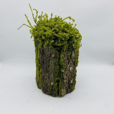 ΚΟΡΜΟΣ/ΦΛΟΙΟΣ ΕΠΙΤΡΑΠΕΖΙΟΣ 20*25CM GREEN