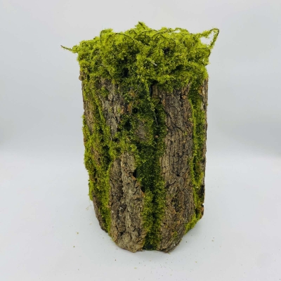 ΚΟΡΜΟΣ/ΦΛΟΙΟΣ ΕΠΙΤΡΑΠΕΖΙΟΣ 20*30CM GREEN