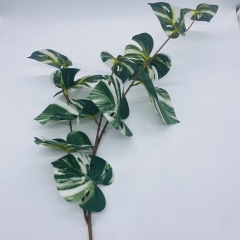 ������� ����� MONSTERA TURTLE 95CM 12LEAVES