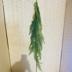 �������  BUSH HANGINGPHOENIX FERN 118CM GREEN