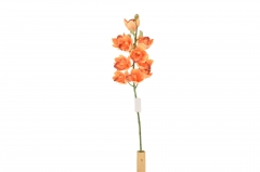 TEXNHTO ����� GRANDIFLORA 70CM ORANGE