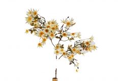 ������� ����� DAISY BUSH 99CM CHAMPAGNE