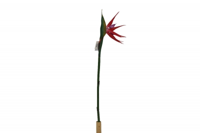 ΤΕΧΝΗΤΟ ΑΝΘΟΣ BIRD OF PARADISE 90CM RED