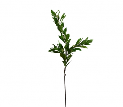 ΤΕΧΝΗΤΟ ΚΛΑΔΙ OSMANTHUS 105CM GREEN