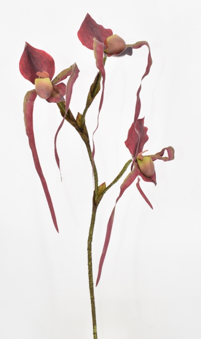 ΤΕΧΝΗΤΟ ΑΝΘΟΣ SLIPPER ORCHID 70CM BORDEAUX