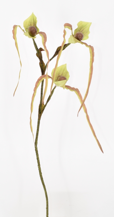 ΤΕΧΝΗΤΟ ΑΝΘΟΣ SLIPPER ORCHID 70CM GREEN