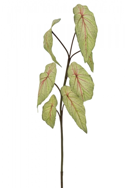 ΤΕΧΝΗΤΟ ΚΛΑΔΙ ALOCASIA MINI 83cm LIGHT GREEN