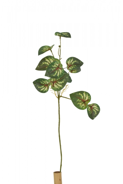 ΤΕΧΝΗΤΟ ΚΛΑΔΙ PHILO SMALL 72cm DARK GREEN