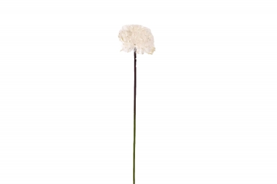 ΤΕΧΝΗΤΟ ΑΝΘΟΣ DANDELION BALL 68CM WHITE