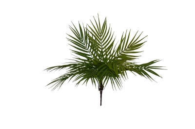 ΤΕΧΝΗΤΟ BUSH PHOENIX FERN 55CM GREEN