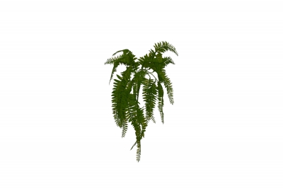 ΤΕΧΝΗΤΟ HANGING BUSH CUBAN FERN 64CM GREEN