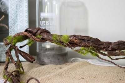 ΚΛΑΔΙ-ΡΙΖΑ 190cm ΚΑΦΕ ΜΟΝΟΧΡΩΜΟ