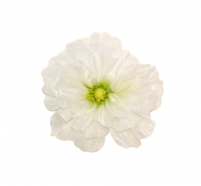 GIANT POPPY HEAD 60CM TULLE WHITE