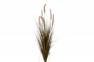 TEXNHTO BUSH PUPPY TAIL GRASS 100CM PINK