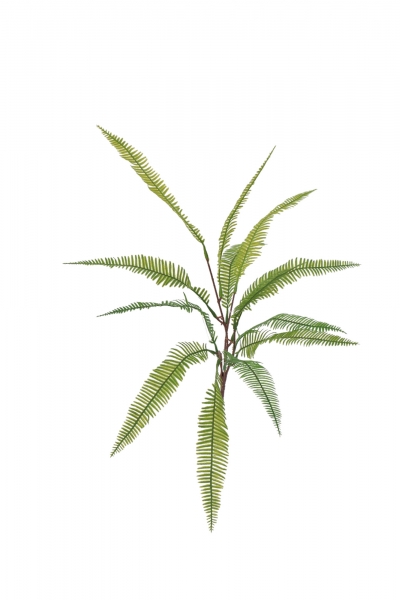 ΤΕΧΝΗΤΟ ΚΛΑΔΙ FERN 55CM DARK GREEN