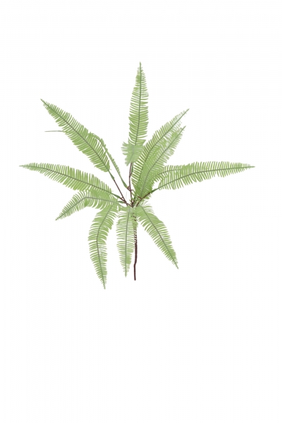 ΤΕΧΝΗΤΟ ΚΛΑΔΙ FERN 55CM LIGHT GREEN