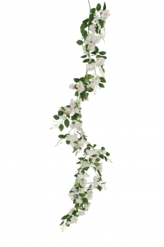 ������� HANGING NERIUM GARLAND  180CM WHITE