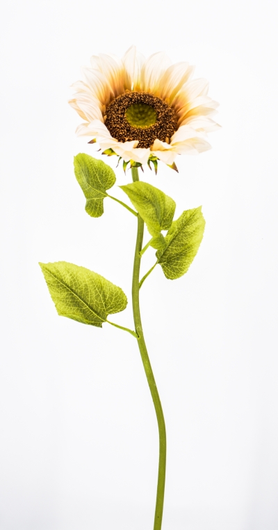 ΤΕΧΝΗΤΟ ΑΝΘΟΣ BIG SUNFLOWER D.30CM/H.100CM AUTUMN CREAM