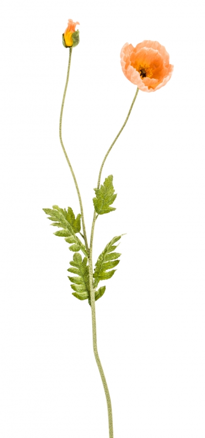 ΤΕΧΝΗΤΟ ΑΝΘΟΣ ICELAND POPPY*2 108CM DARK PINK