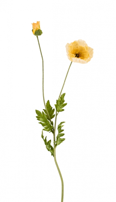 ΤΕΧΝΗΤΟ ΑΝΘΟΣ ICELAND POPPY*2 108CM LIGHT PINK