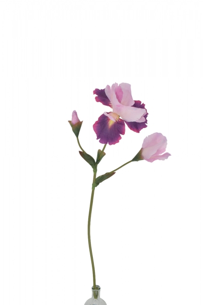ΤΕΧΝΗΤΟ ΚΛΑΔΙ GERMAN IRIS 68CM PINK