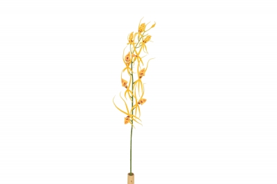 ΤΕΧΝΗΤΟ ΚΛΑΔΙ PLOVER ORCHID 97CM YELLOW