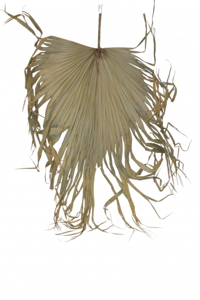 GRASS SILK LEAF 45*55CM NATURAL