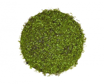 ΤΕΧΝΗΤΟΣ ΚΑΘΕΤΟΣ ΚΗΠΟΣ ΣΤΡΟΓΓΥΛΟΣ D.65CM NATURAL GREEN