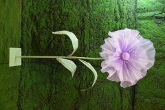 ���� ���������� �� 3 ����� 180CM