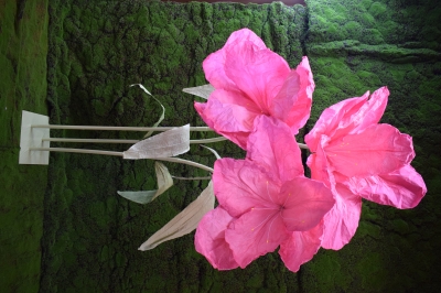 GIANT TULLIP S/3 140/160/180CM PINK