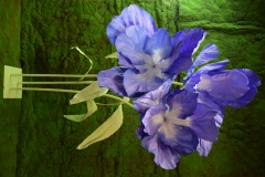 GIANT SHALLOWTAIL S/3 140/160/180CM PURPLE