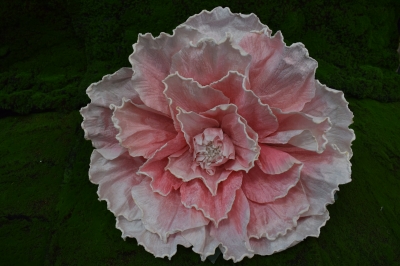 ΤΕΧΝΗΤΟ GIANT MAGNOLIA D.60CM ΛΕΥΚΟ ΠΕΡΙΓΡΑΜΜΑ SALMON PINK