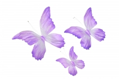 S/3 ���������� PAINTED 50/70/90CM PURPLE