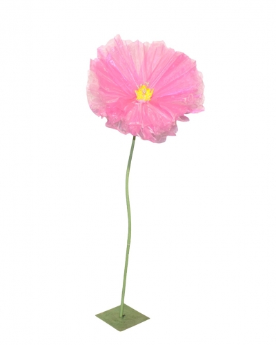 GIANT GERBERA TULLE 75CM BABY PINK
