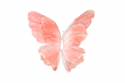 GIANT WHITE EDGE BUTTERFLY 50CM DUSTY PINK