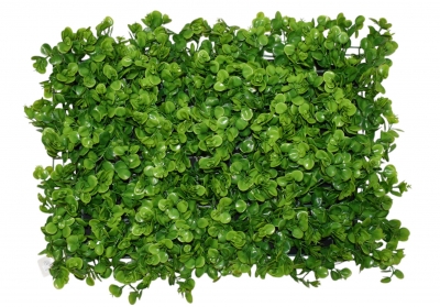 ΚΑΘΕΤΟΣ ΚΗΠΟΣ(GREEN WALL) EUCALYPTUS GRASS 40*60CM GREEN