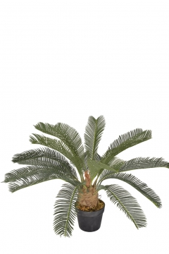 ������� ���� YUCCA �� ������� 60cm/18L