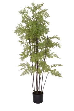 ������� ���� ����� �� ����� 150cm GREEN