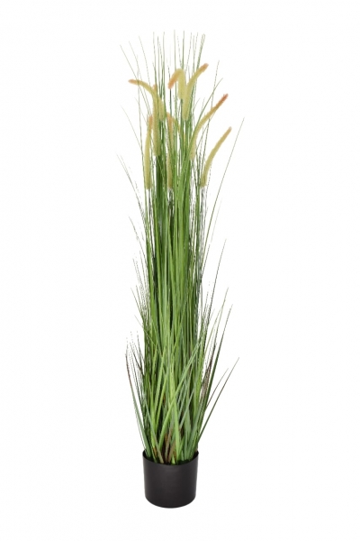 ΤΕΧΝΗΤΟ ΦΥΤΟ DOG TAIL GRASS ΣΕ ΚΑΣΠΩ 120CM GREEN